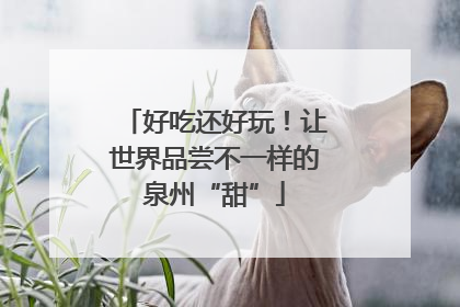 好吃还好玩！让世界品尝不一样的泉州“甜”